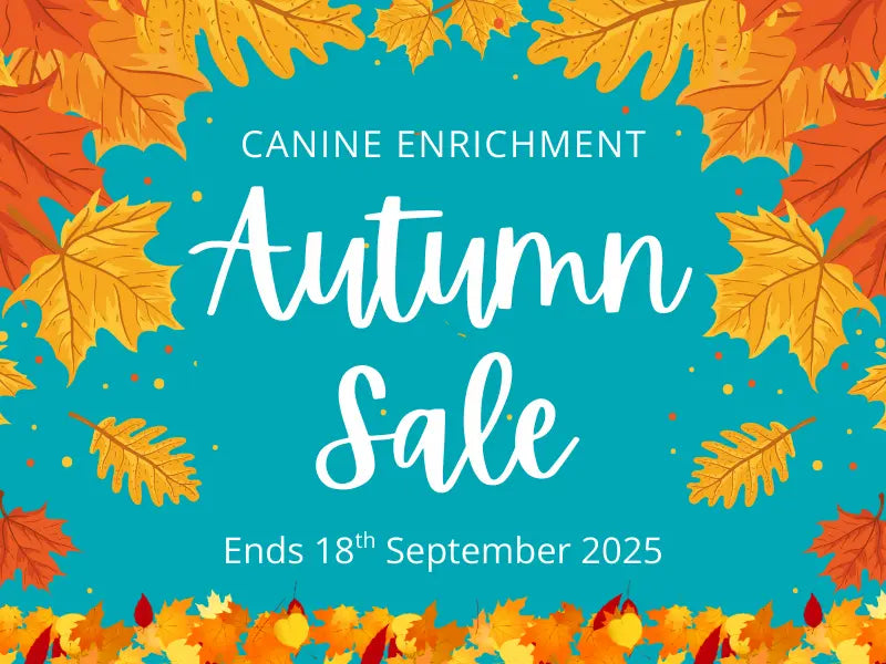 Autumn Sale