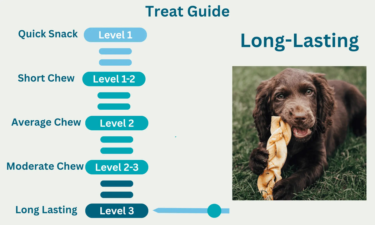 Braided Beef Skin Small Level