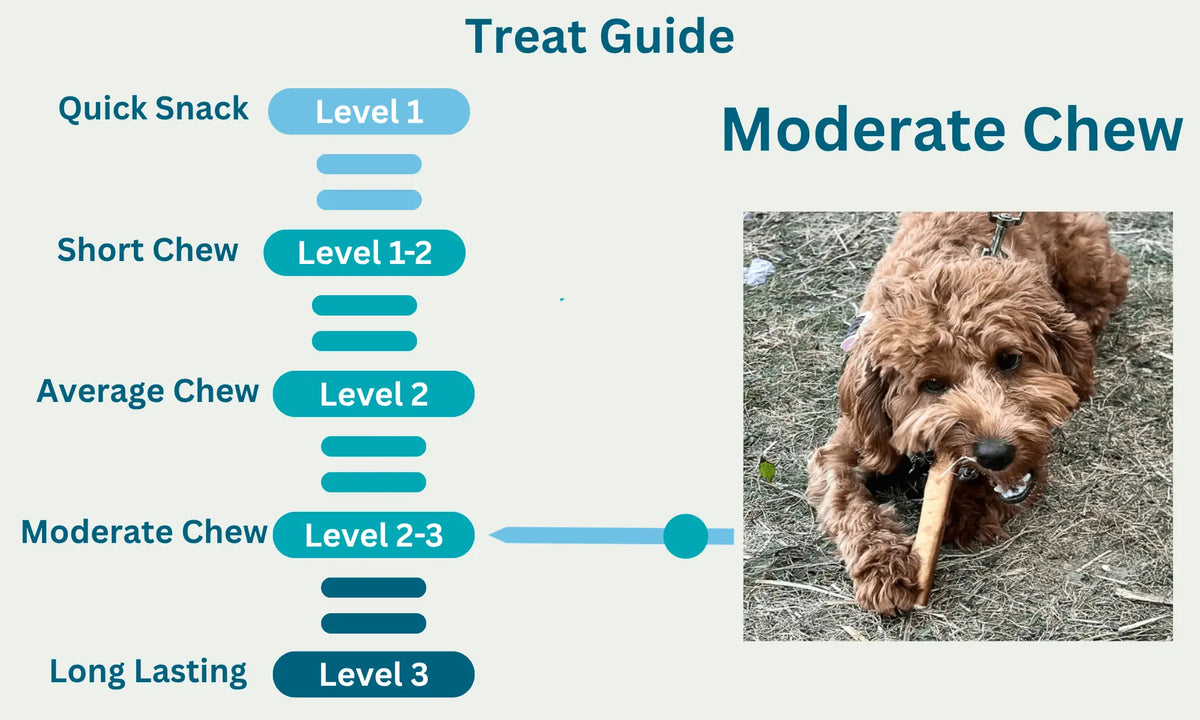 Beef Tail Level