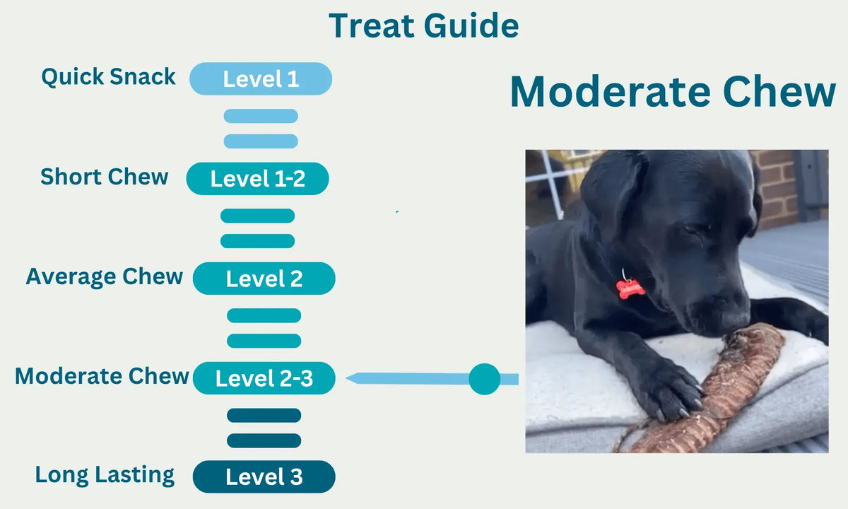 Beef Trachea Large Level
