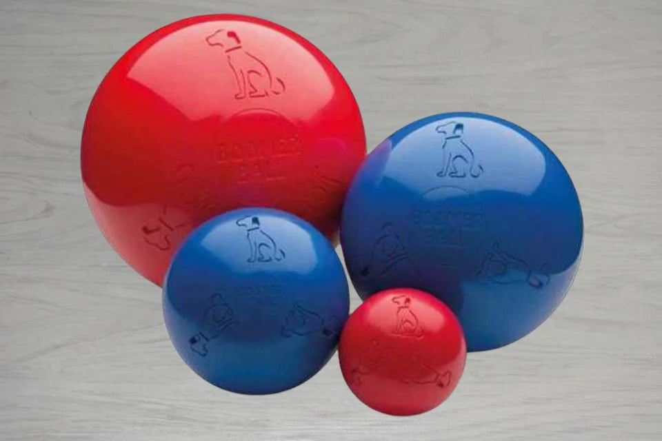 Boomer Ball - Various Sizes: 4inch, 6inch, 8inch, 10inch - Dog Toys, Dogtropolis