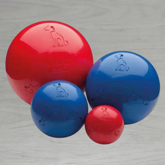 Boomer Ball for Dogs