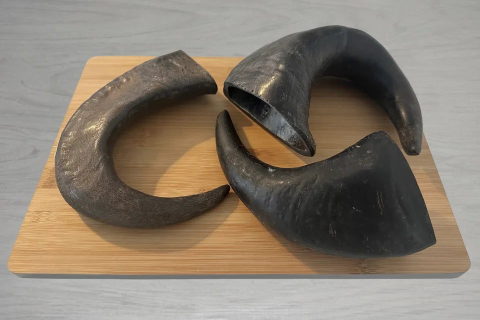 Buffalo Horns for Dogs from Dogtropolis