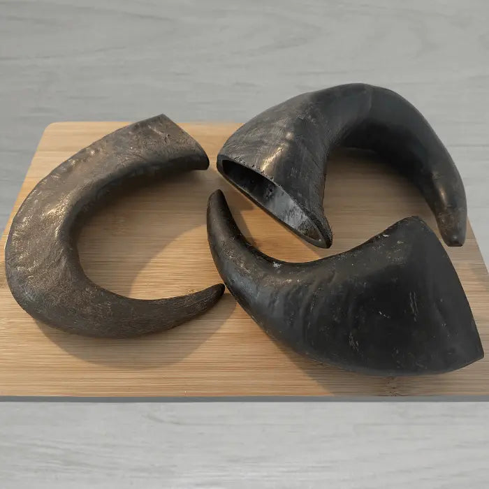 Buffalo Horns for Dogs