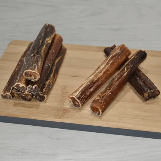 Bulls Pizzle for Dogs