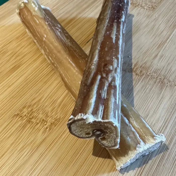 Dogtropolis Bulls Pizzle