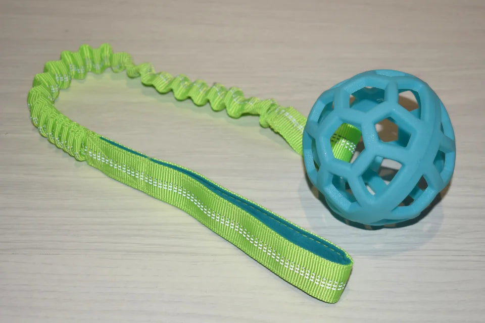 Bungee Chaser Tug Toy with Ball