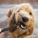 Dog with Braided Camel Skin