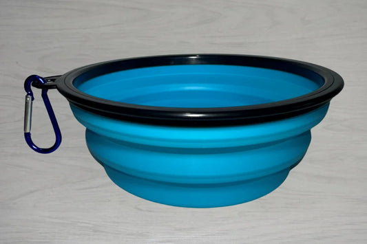 Collapsible Travel Bowl for Dogs - Aqua