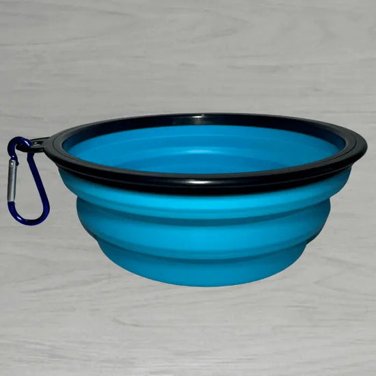 Collapsible Travel Bowl | Aqua