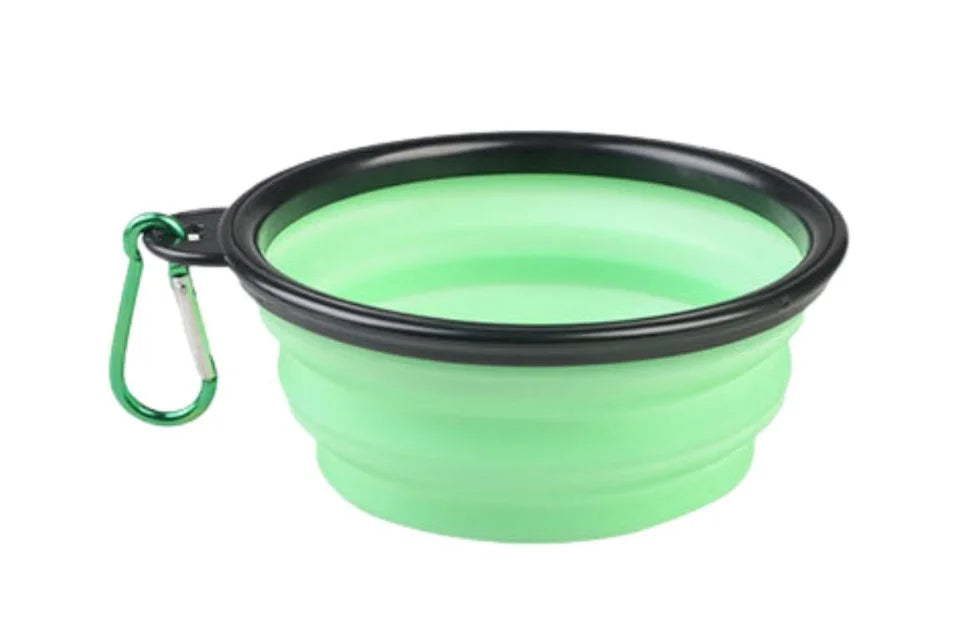 Collapsible Travel Bowl - Mint