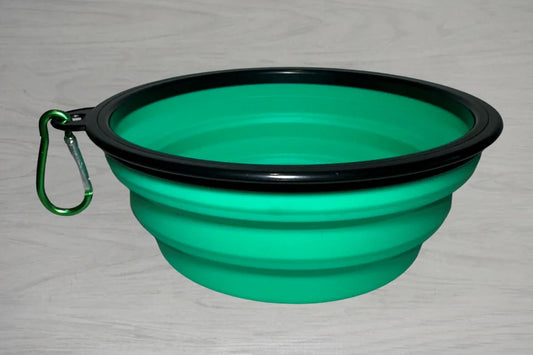 Collapsible Travel Bowl for Dogs - Mint