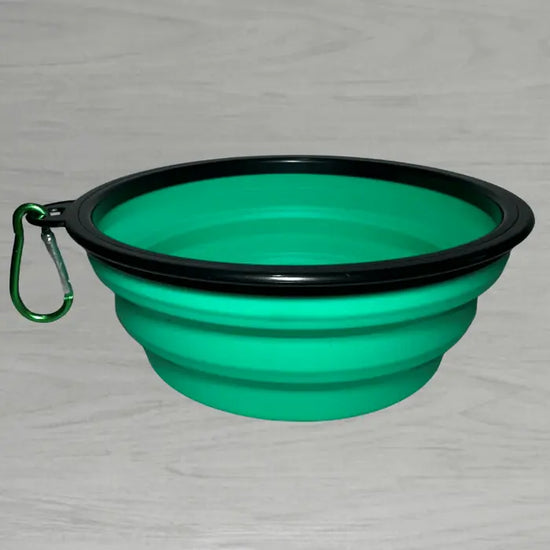 Collapsible Travel Bowl | Mint