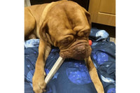 Antos Cerea Eurostar Dental Dog Treats - Dogtropolis Customer