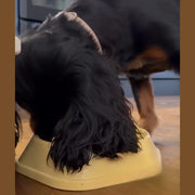 Customer with Slow Feeder Bowl