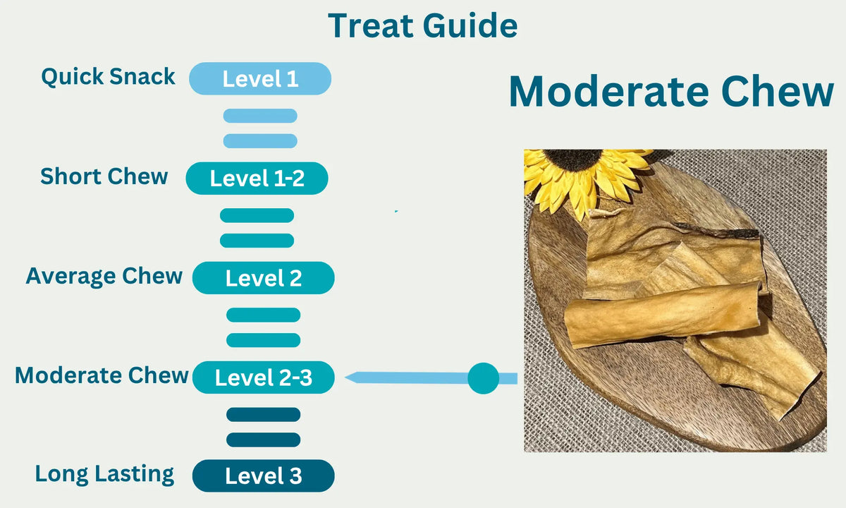 Deer Skin Level