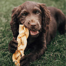 Dog with Beef Braid Medium