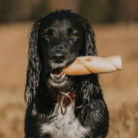 Dog with Bully Roll Medium