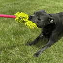 Product Tester with Bungee Dog Toy