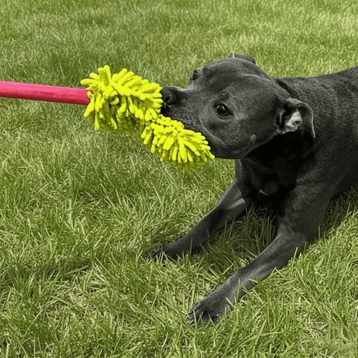 Product Tester with Bungee Dog Toy