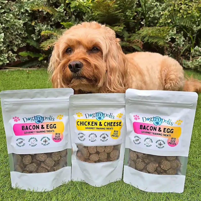 Dog with Dogtropolis Gourmet Training Treats
