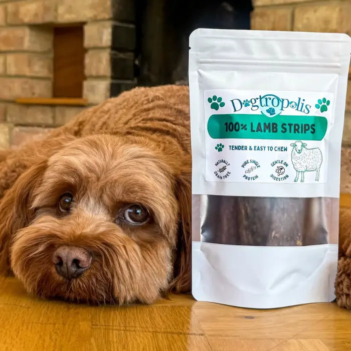 Dogtropolis Pure Lamb Strips