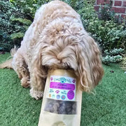 Dog with Dogtropolis Training Treats