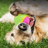 Dog with Five Senses Dog Ball