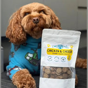 Dog with Gourmet Training Treats Chicken Cheese