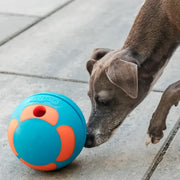 Dog with Guru Bobble Ball