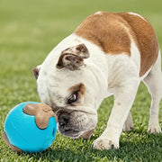 Dog with Guru Busy Ball