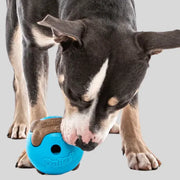 Dog with Guru Busy Ball