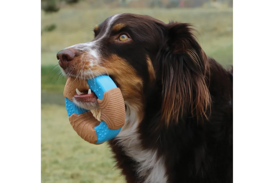 Dog with KONG CoreStrength Bamboo Bone