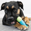 Dog with KONG CoreStrength Toy