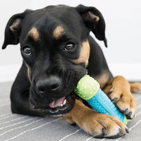 Dog with KONG CoreStrength Toy