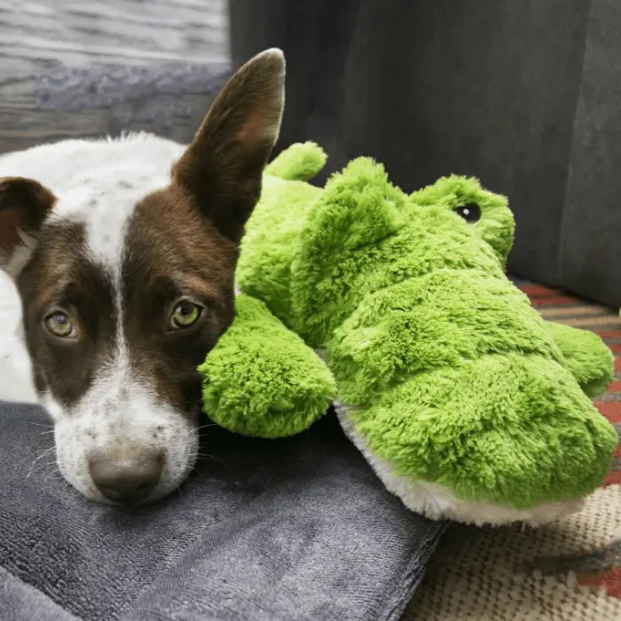 Dog with KONG Cozie Ali Alligator Dog Toy