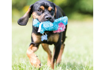 Dog with Cozie Brights Toy