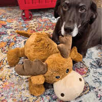 Dog with KONG Cozie Marvin Moose Dog Toy