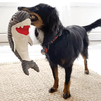 Dog with KONG Cuteseas Rufflez Shark
