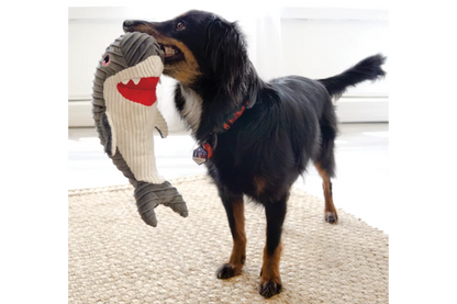 Dog with KONG Cuteseas Rufflez Shark