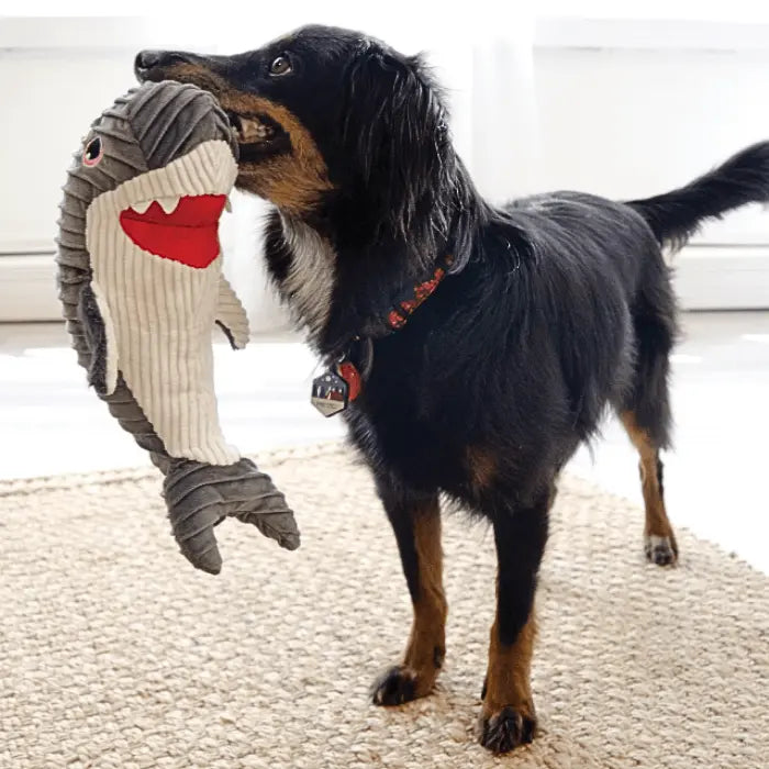 Dog with KONG Cuteseas Rufflez Shark