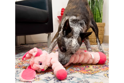 Dog with KONG Shakers Crumples Bunny Toy