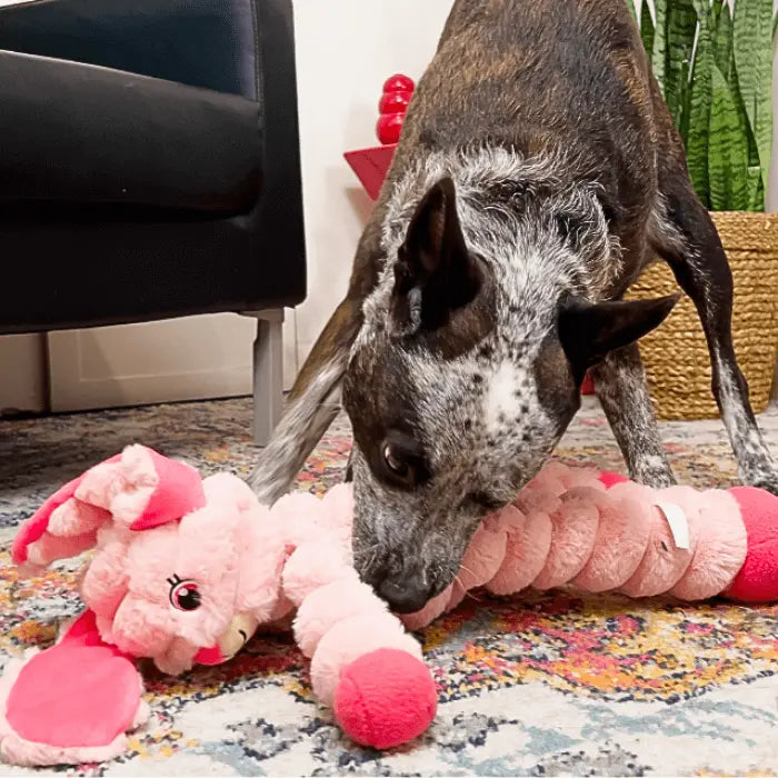 Dog with KONG Shakers Crumples Bunny