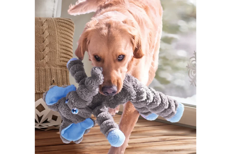 Dog with KONG Shakers Crumples Elephant Toy