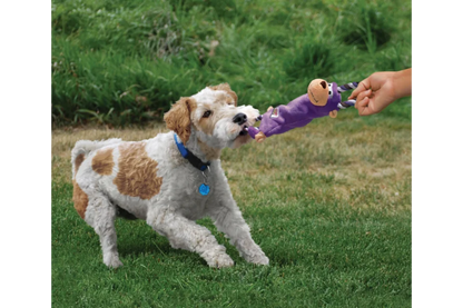 Dog with KONG Tugger Knots