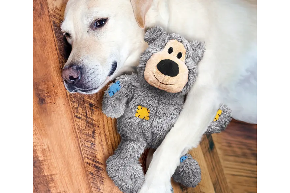 Dog with KONG Wild Knots Bear