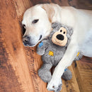 Dog with KONG Wild Knots Bear