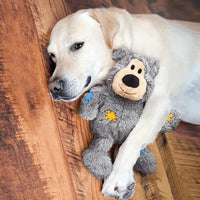 Dog with KONG Wild Knots Bear