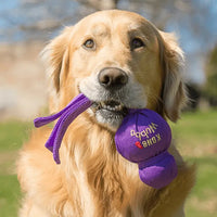 Dog with KONG Wubba