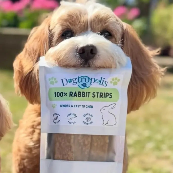 Dog with Dogtropolis Rabbit Strips